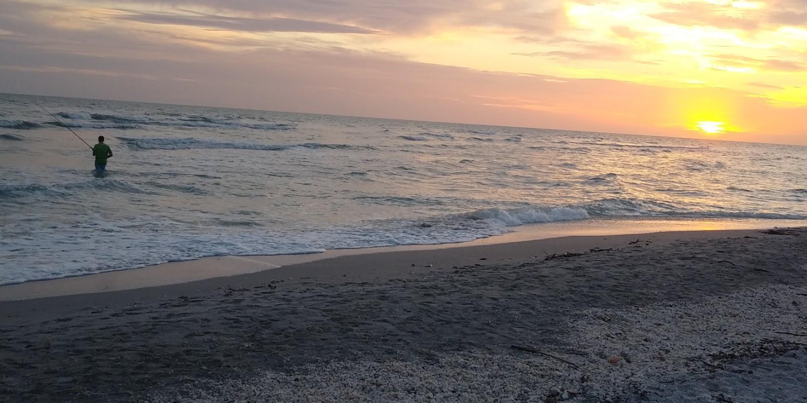 "Discover the Tropical Paradise: Top 5 Benefits of Living in South Florida"